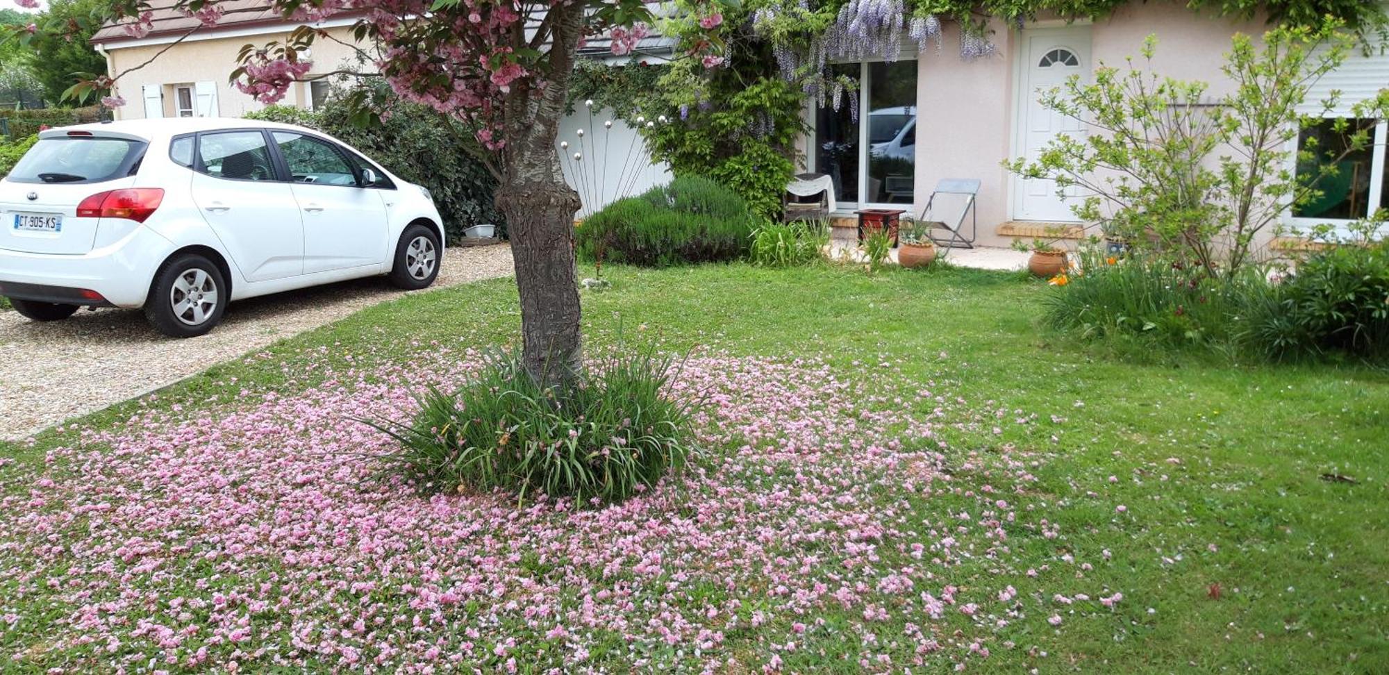 Appartamento Chez Loti Louviers Esterno foto